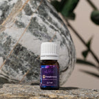 Transformācija 2,5 ml